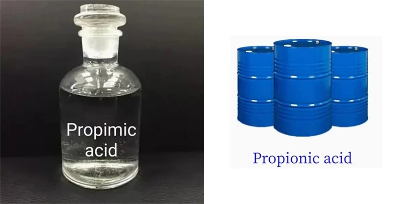 What Is Propionic Acid? What Is Propionic Acid?